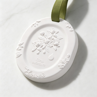 Diffuseur d'arômes suspendu Finru en céramique blanche, parfum d'intérieur longue durée, désodorisant pour armoire aux huiles essentielles