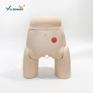 Smulation de cathétérisme urétral féminin avancé mannequin de formation en soins infirmiers médicaux - Product Image 5