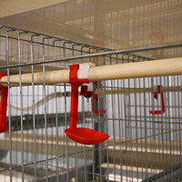 Nouvelles mangeoires automatiques en acier inoxydable de type H U-best fournies par l'usine pour les poulaillers Cages à batterie Cailles Oiseaux et poulets d'œufs