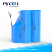 Batterie primaire au lithium ER18505 3,6 V pour IoT LoRa GPS Compteurs intelligents Jouets et outils électriques