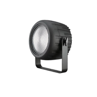 BOTAI 250W COB LED PAR Lumière Blanc Chaud Conception De Matrice Dorée Mobile RGBW Laser Lumières DMX512 Contrôle pour Sortie Lisse pour DJ