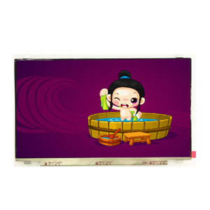 Écran LCD TFT en gros B173HAN03.0, 17,3 pouces, 1920*1080 FHD, panneau d'écran LCD - Product Image 1