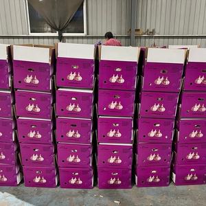 Ajo Fresco Chino, Verduras Frescas de China, Exportador de Ajo Fresco, Precio al por Mayor, Ajo Fresco, Ail Frais, Alho - Product Image 6