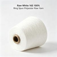 Qianshou Customized 16S Ring Spun Recyclable Eco-Friendly 100% Polyester Yarn Twist 58 Knitting & Woven Yarn for Sewing