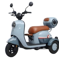Roda tiga listrik ekonomis, dengan 1000W Hub belakang Motor 60V 48V dasar transportasi perkotaan Model bingkai baja sertifikat EEC