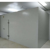 Chambre froide de grande capacité pour morgue, congélateur walk-in avec compresseur Copeland et conteneur à vendre