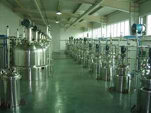 Bioréacteur Fermenteur Pilote SUS 316L Bioréacteur Traçabilité complète du matériau Lessivable testé - Product Image 6