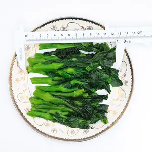 Fábrica China de flores de Rape congeladas cultivadas en <span class=keywords><strong>verduras</strong></span> <span class=keywords><strong>IQF</strong></span> - Product Image 1