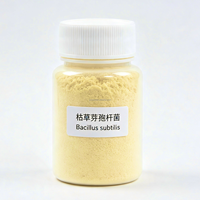 Bacillus Subtilis 100 Mil Millones de UFC/g, Aditivo Enzimático para Mejorar la Digestión de Proteínas, Alimento para Cerdos de Alta Proteína, Alimento para Gallinas Ponedoras y Pavos