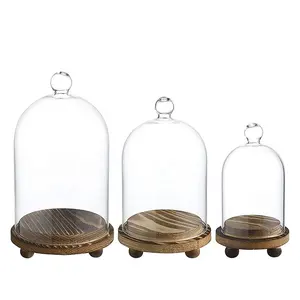 Minijarra de campana con Base de madera para Decoración de mesa, cubierta de cúpula de cristal transparente con Base de madera