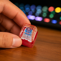 PC Plastic Mechanical Keyboard Keycap Fidget Toy Keychain Stress Relief Clicker for Desk & EDC