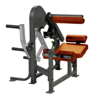 Équipement de gymnastique commerciale Muscles Stretch Workout Assis Back Extension machine SZP02