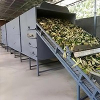 Heetverkopende mesh-banddroger continue banddroogmachine industriële droger voor fruit, groente, kruiden en voedseldehydratatie