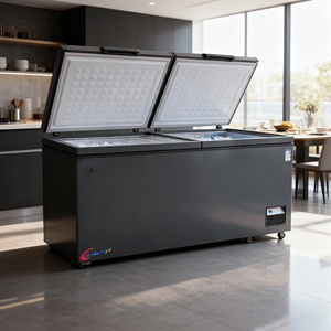 Congélateur horizontal commercial 400L-700L avec porte en mousse pour la restauration, stockage à <span class=keywords><strong>froid</strong></span>, R290 écologique, certifié CE - Product Image 2
