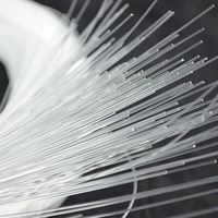 Câble à fibres optiques à éclairage latéral en PMMA pour plafonds étoilés, haute luminosité, intensité réglable, utilisation intérieure/extérieure
