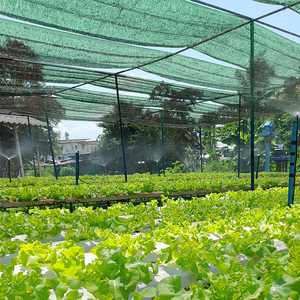 <span class=keywords><strong>Malla</strong></span> de <span class=keywords><strong>Sombra</strong></span> Verde Agrícola Resistente, Redes de Protección para Cultivos, <span class=keywords><strong>Malla</strong></span> de <span class=keywords><strong>Sombra</strong></span> para Invernaderos - Product Image 4