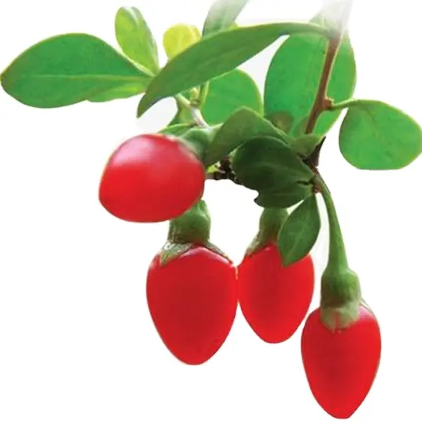 Новый Урожай ягод годжи, Волчья ягода, оптовая продажа, большие размеры, Пищевое производство, качественные экспортные качественные ягоды Годжи