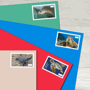 Bulk Wholesale <strong>Post</strong> Stamps <strong>Labels</strong> Card Adhesive Animal Postal Mail Stamp Sticker Postage Mailing Stamps <strong>Labels</strong> for COLLECTION - Product Image 4