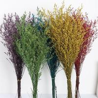 110g Rumput Limonium Lover's Grass Kering yang Diawetkan untuk Dekorasi Bunga Rumah Tangga, Kantor & Pesta, Acara Pernikahan