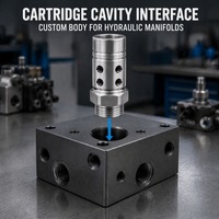 Komponen Manifold CNC dengan Bodi Selubung Kartrid Hidrolik Kustom, Lubang Presisi, Alur Segel Heksagonal, dan Port Pengukuran