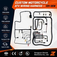 Harnais de câblage automobile personnalisé OEM ODM, assemblage de câbles moteur ISO9001