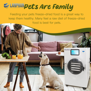 Utilisation commerciale de maison d'équipement de machines de fruit de lyophilisation avec la pompe à vide - Product Image 4