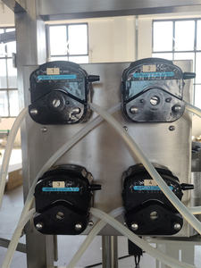 Pompa Peristaltica WB-Y4 a 4 Ugelli per Riempimento e Tappatura di Bottiglie in Vetro e Plastica per Profumi - Product Image 3