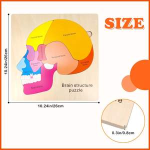 Puzzle anatomi otak kayu 16 bagian struktur otak biologi Jigsaw <span class=keywords><strong>STEM</strong></span> pendidikan mainan anak-anak untuk anak laki-laki perempuan usia 3 + Tahun - Product Image 3