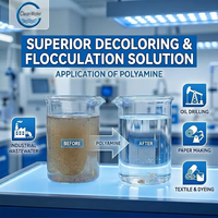 Polyamine CAS 42751-79-1 Polyquaternium-2 Polyelectrolyte Cationique (Marque CLEANWATER) Pureté 99% Teneur en Solides 50% pour Eau Brute