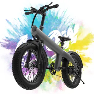 Оптовая продажа, hx q3, Электрический внедорожный велосипед для взрослых, мотоциклы 750 ватт, 20 дюймов, горный велосипед, электровелосипед, электровелосипед