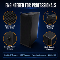 Haut-parleur Line Array double 6,5 pouces DS-DA-206 200W 118dB 110 ° Armoire en contreplaqué pour salle de théâtre, salle de conférence, KTV, OEM/ODM