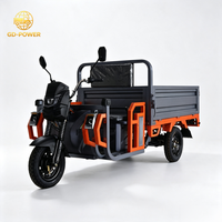 Triciclo de Carga Pesada con Motor de 1200W, Capacidad de Carga de 700 kg, para Transporte de Productos Agrícolas