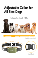 Dispositif d'entraînement extérieur 2000FT No shock Dog Training Collar avec télécommande et bip, Modes de vibration