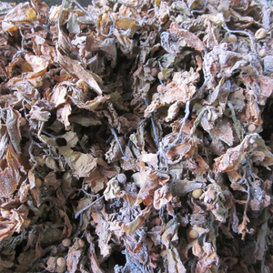 SARGASSUM SECO POLICYSTUM HAIZAO ALGAS SARGASSUM SPINULIGERUM - Product Image 1
