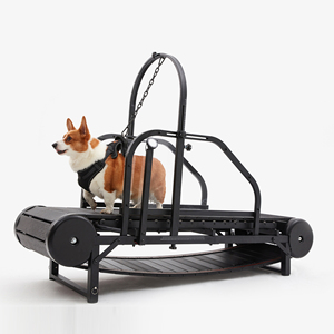 Cinta de correr para perros grandes, máquina para correr <span class=keywords><strong>canina</strong></span> para interiores y exteriores, equipo de ejercicio para perros, máquina para caminar - Product Image 4