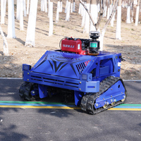 Tondeuse robotisée à fléaux télécommandée tout-terrain à moteur essence CE EPA pour l'agriculture, broyeur de bois, machinerie forestière