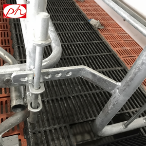 Caisses de mise bas en acier PH système de plancher de cages pour animaux à nettoyer facilement avec alimentation automatique pour un élevage efficace de porcelets nouveau - Product Image 1