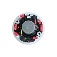Haut-parleur de plafond professionnel de 8 pouces, design ultra fin 100W, pour salles de conférence, salles de cours, espaces commerciaux