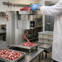 Machine à découper les bandes de viande, trancheuse à viande 380V avec deux jeux de lames pour blocs de viande congelée et usine de production de viande séchée