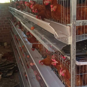 Gabbia per Galline Ovaiole in Acciaio Zincato a Caldo per Allevamento Avicolo, 96/120/128/160 Polli, 3/4 Livelli, Tipo H Antiruggine - Product Image 1