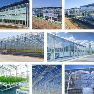 Grande serre agricole multi-travées en verre trempé avec structure en acier galvanisé à chaud, fenêtres de toit et conception ventilée - Product Image 4