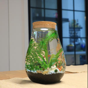 Décoration de maison de table Vase <span class=keywords><strong>en</strong></span> <span class=keywords><strong>verre</strong></span> décoratif <span class=keywords><strong>en</strong></span> forme de larme Terrarium pour plantes - Product Image 6