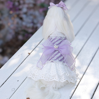 Jupe en polyester classique personnalisable et confortable, couleur violette, brodée, pour chiens de petite taille, robe pour chien Aabay, haute couture, toutes tailles