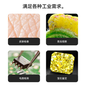 Handheld Portable <b>Microscope</b> 1600X 2 Megapixel <b>Digital</b> With 8 Led Light For Repair And Inspection Use - Product Image 5