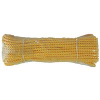 Corde en PP torsadée haute densité Danline 6mm 8mm 10mm Corde en PP tressée colorée pour l'emballage