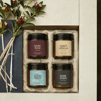 Ensemble de bougies votives en cire de soja 100% biologique, faites à la main, de luxe, bougies artistiques, pot en céramique, parfum personnalisé, boîte cadeau, maison, Pâques/Noël