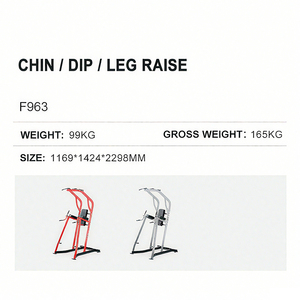 Máquina Comercial para Ejercicios de Chin Up/Dip/Leg Raise - Nueva Serie de Entrenadores de Fuerza con Carga de Discos, Tubo de 3mm de Grosor WD-F963 Tu Confianza - Product Image 5