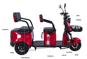 <span class=keywords><strong>Tricycle</strong></span> <span class=keywords><strong>électrique</strong></span> pour personnes âgées, 500W, pour adultes - Product Image 5
