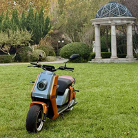Scooter électrique Citycoco certifié EEC/COC, 2000W/3000W, batterie 60V 20Ah-55Ah, pneus larges, motos électriques