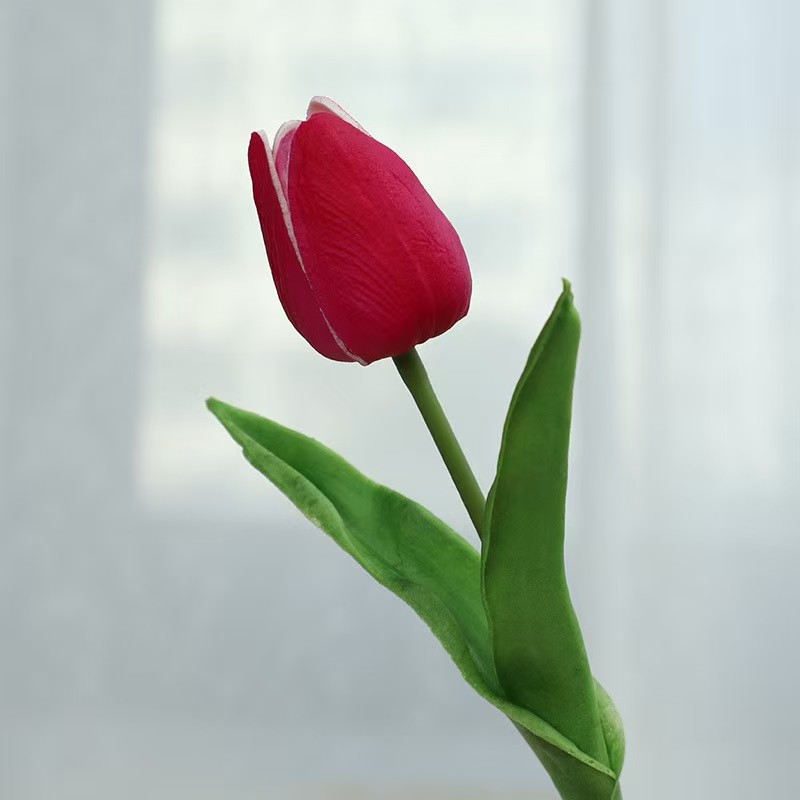 Rouge pêche